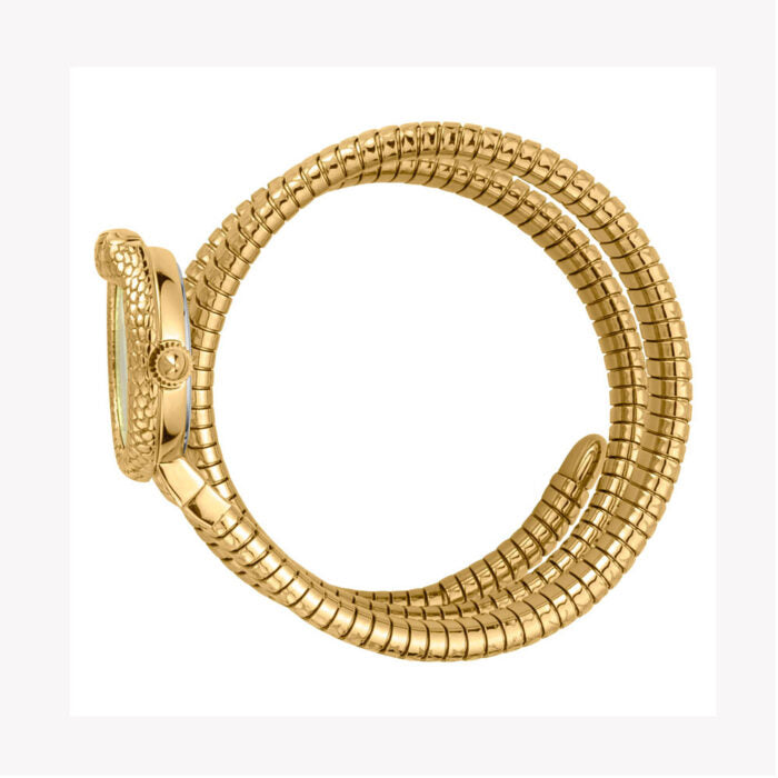 Just Cavalli-JC1L162M0025