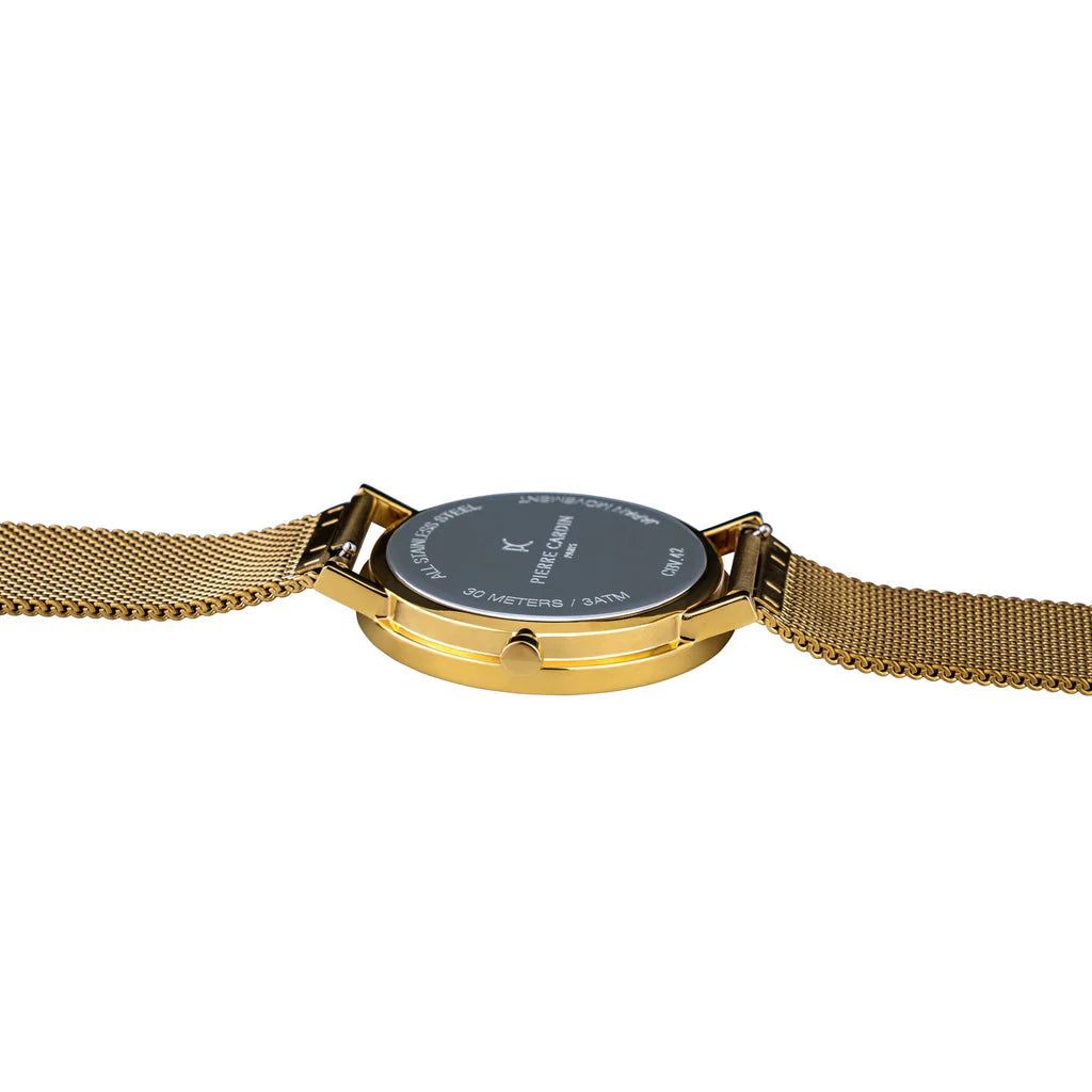PIERRE CARDIN Men's Green Dial Watch | CBV.1046